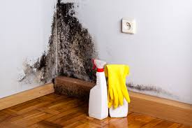 Why You Should Choose Our Mold Remediation Services in Cheat Lake, WV